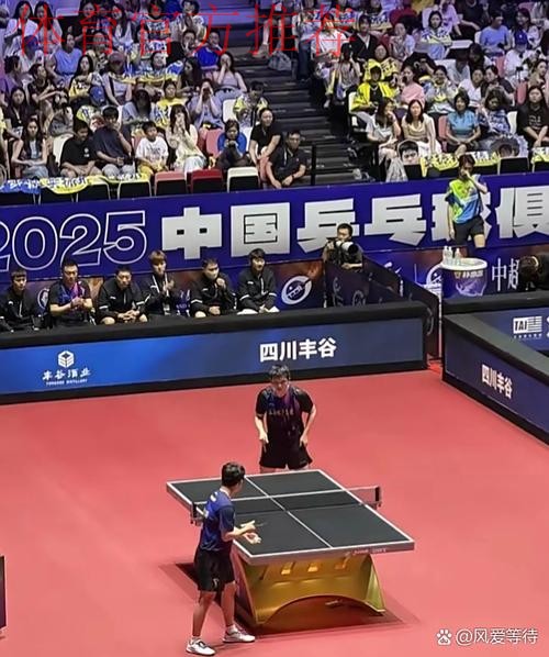 《熊猫说球》第八集:比赛时间 《熊猫说球》第八集:比赛时间